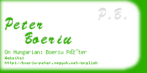 peter boeriu business card